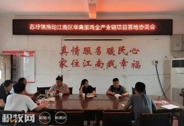 可存栏200万余羽蛋鸡，广西单个区域蛋鸡养殖规模最大项目开工建设