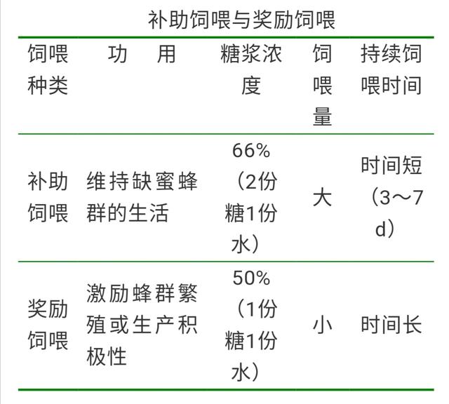 中蜂最全的管理技术