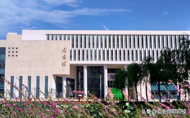 天津农学院、天津职业技术师范大学和天津中德应用技术大学谁强？