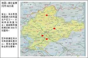 环保法蛋鸡养殖规模(有无蛋鸡立足之地？从浠水调研看环保政策对蛋鸡养殖的影响)