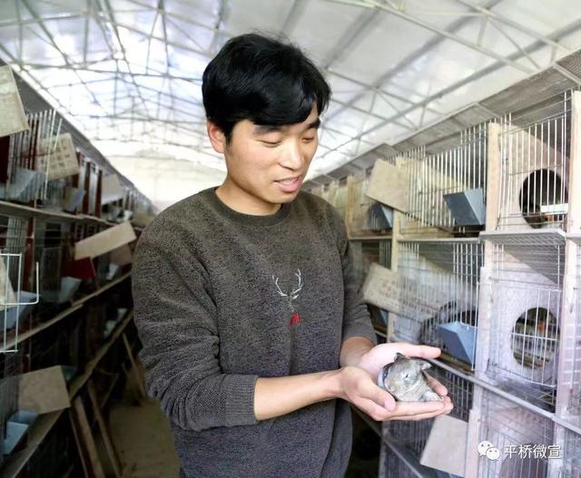 深耕沃土、厚植畜牧，发生在淮水王岗的新故事