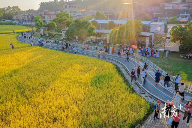 水经济润民生，广东这座水库移民村吃上了“生态饭”｜民生新质感