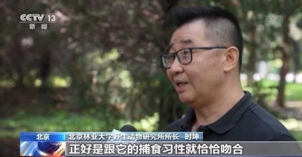 野外偶遇金钱豹怎么办？青海牧民的教科书式操作学习一下