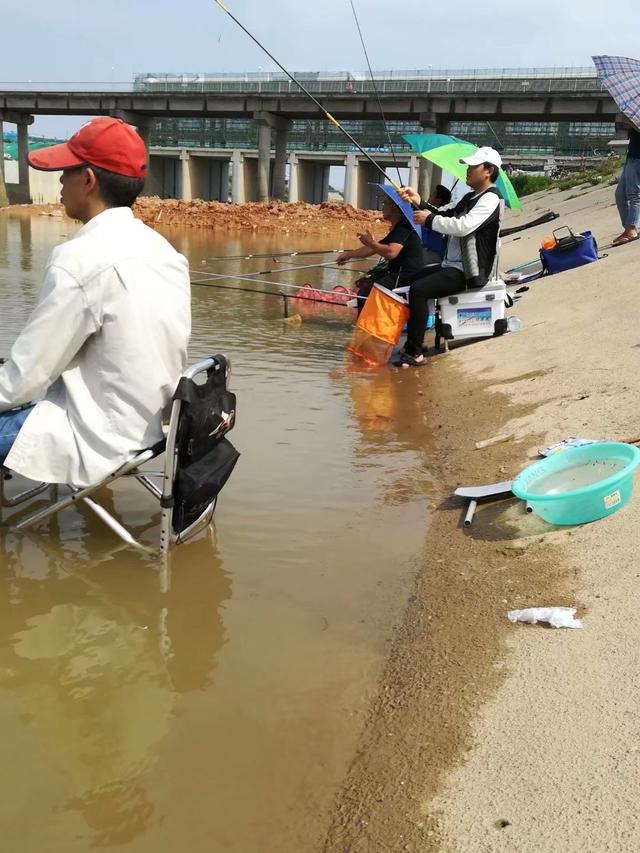 同学约钓东江，软竿长线控“巨鲮”