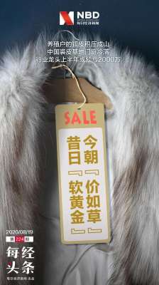 水貂养殖利润(奢侈品之皮草调查丨昔日“软黄金”，如今价如“草”)