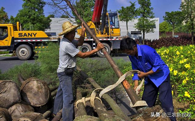 在农村，想发家不能靠种地，这3行是赚钱“捷径”，想转型要趁早