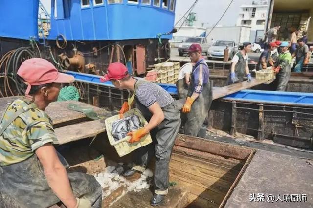 今日开海，4种海鱼别错过，无法人工养殖，都是近海产的，放心吃