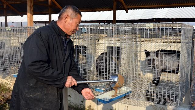 迷茫的野生动物养殖产业：1400万从业者何处去