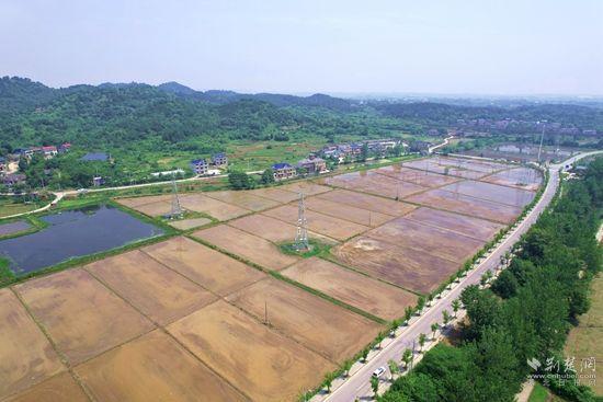 鄂州一穷山窝里飞出金凤凰，奋力打造世界级“空港绿谷”