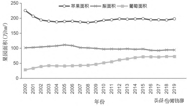 我国主要果树发展现状与对策建议