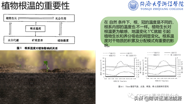 郭海新：冬季种植中可再生能源利用技术