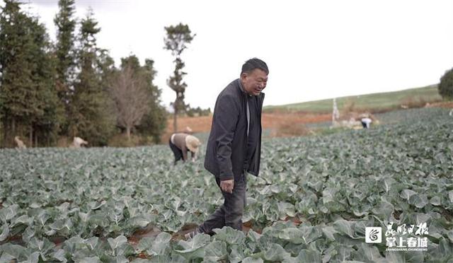 “新农人”“老农人”共绘乡村振兴画卷