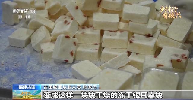 小银耳如何开出“致富花”？在一朵银耳的成长过程里找答案