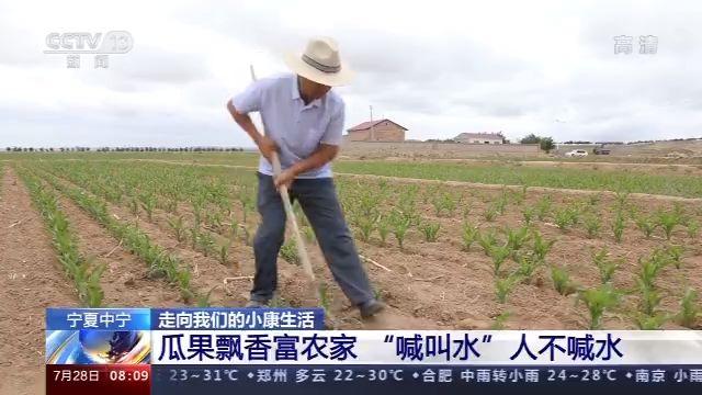 走向我们的小康生活丨瓜果飘香富农家“喊叫水”人不喊水