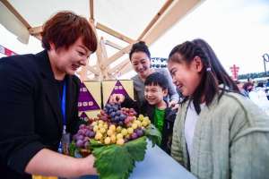 北京有机菜种植基地(国光苹果、葡萄、海棠等丰收，延庆邀市民摘鲜果、赏秋色)