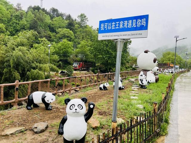 秦岭山里种植忙，陕西佛坪农产品释放新活力