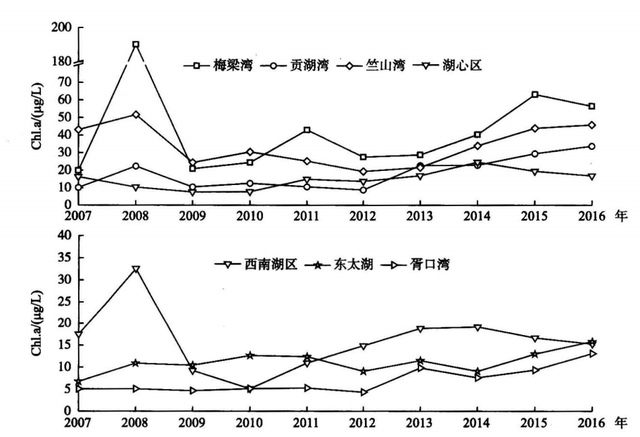 太湖深陷“蓝藻病”，07年引发水危机，鲢鳙成“治水功臣”？