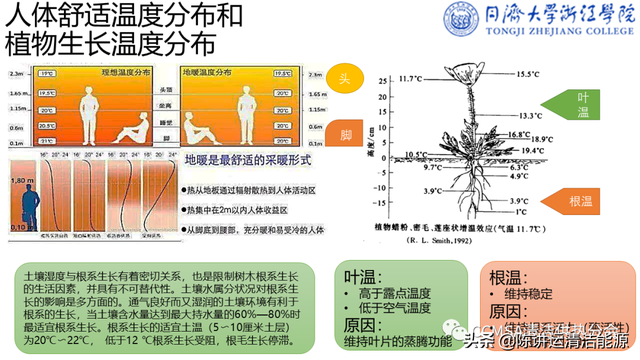 郭海新：冬季种植中可再生能源利用技术