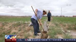 宁夏枸杞辣椒种植基地(走向我们的小康生活丨瓜果飘香富农家“喊叫水”人不喊水)