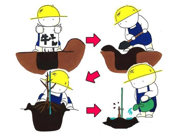 「农业」初学者也能简单栽培猕猴桃的方法