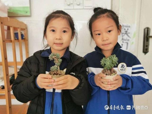 今日开发区‖东营市胜利锦华小学：珍爱绿色，种植梦想