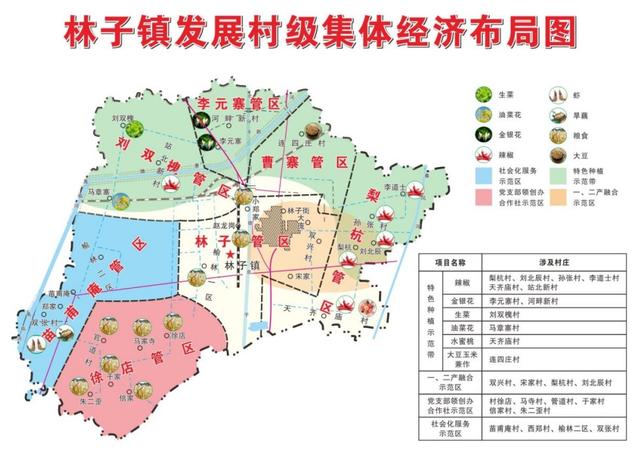 齐鲁红星丨德州临邑：党支部领办合作社，闯出乡村振兴新路子