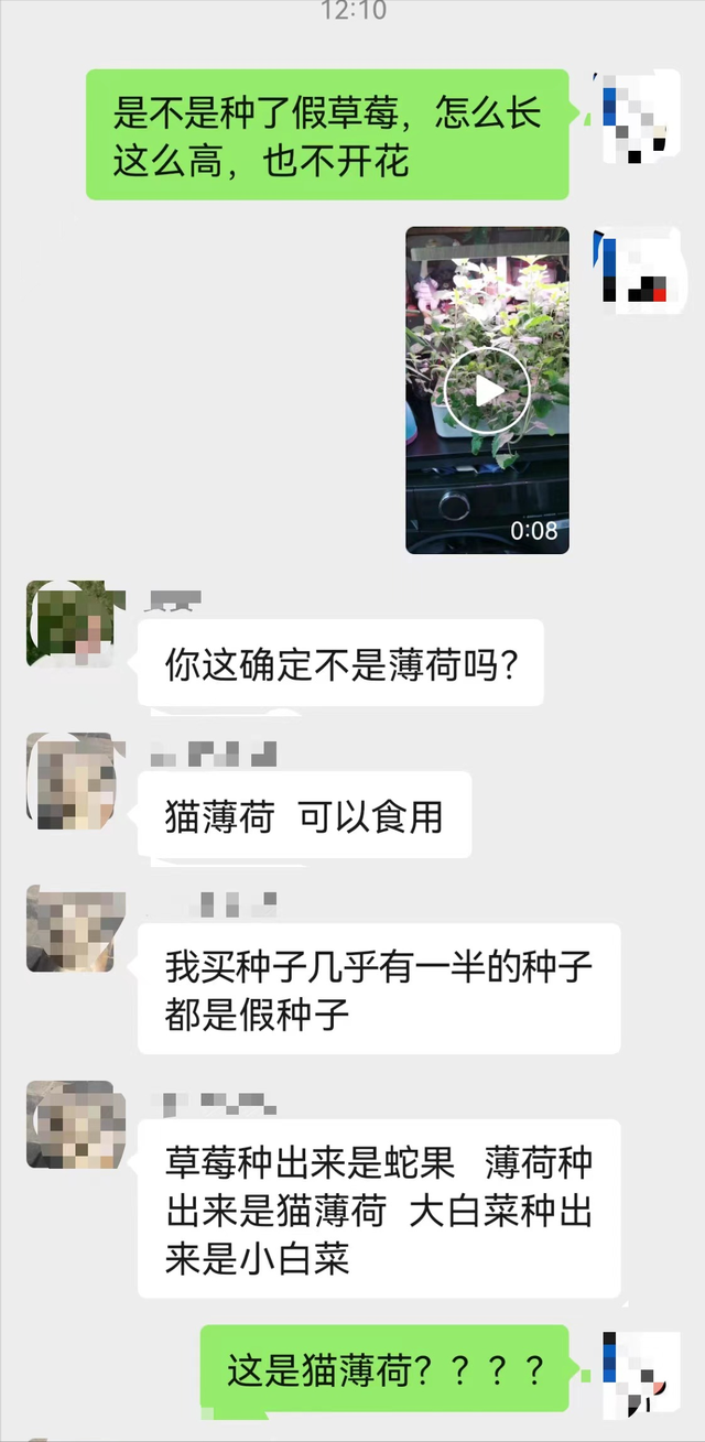 让人无奈的网购经历背后，暗藏着花种苗木的网购陷阱——“草莓”种子种出草：莓呢？没了