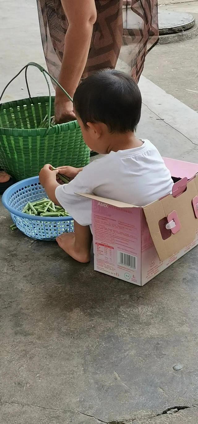 第一次种蘑菇，都来学学