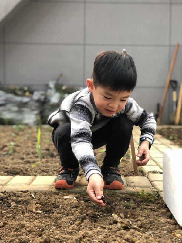 小小幼儿种植园“种”出育人大学问