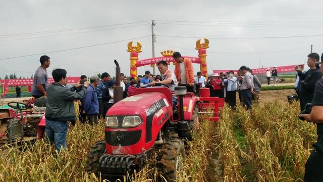 平度仁兆镇东寨子村：大蒜种收实现全程机械化 生产效率提高20倍