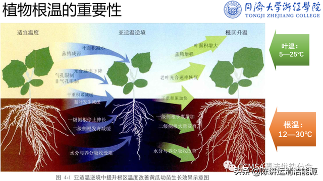 郭海新：冬季种植中可再生能源利用技术