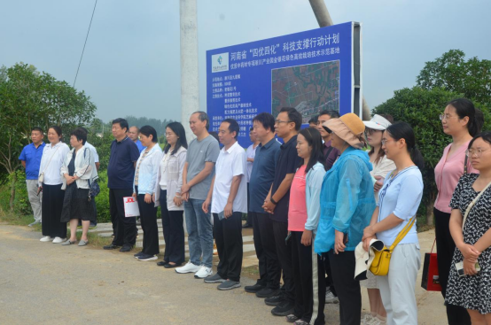 河南省“四优四化”优质中药材专项淅川金银花成效显著 新技术落地生根 新品种生机盎然