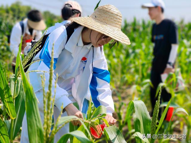 劳动励炼心智 科技绽放梦想——高新一中种植园收获啦