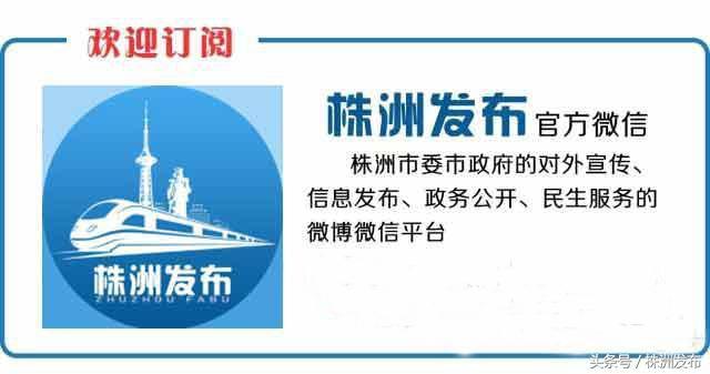 湖南十大树王，一棵在炎陵！株洲6株“湖南最美古树”，炎陵又占4席