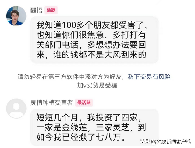 大象帮丨轻信种灵芝能致富多人上当损失惨重 专家律师支招如何避坑