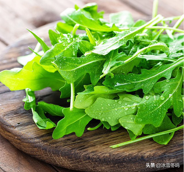 芝麻菜，一种西厨和中餐都各有适用的蔬菜香料，巧妙点缀挑动味蕾