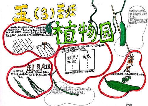 深圳外国语小学“青青葵园”小菜地迎来丰收季