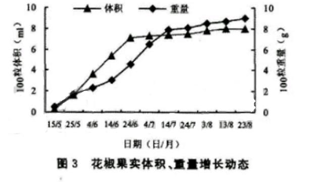 花椒树栽培技术｜大红袍花椒生物学特性观测实验