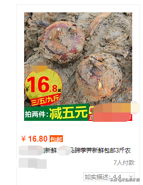 五六块一斤，药用和食用价值都很高的马蹄，怎么种植才更高产？