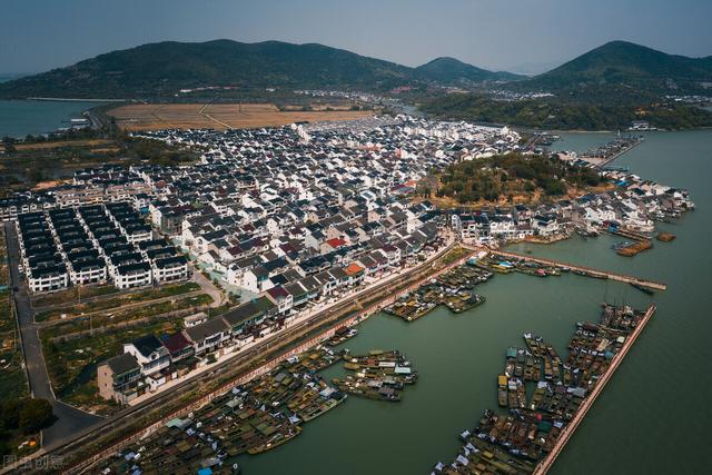 太湖深陷“蓝藻病”，07年引发水危机，鲢鳙成“治水功臣”？