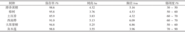 珍贵树人工林下套种金花茶技术研究