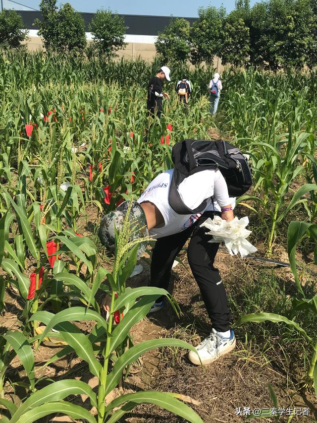 劳动励炼心智 科技绽放梦想——高新一中种植园收获啦