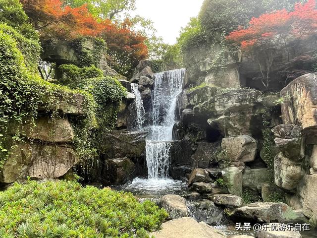 【乐悠游杭州】杭州花圃