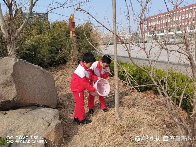 今日开发区‖东营市胜利锦华小学：珍爱绿色，种植梦想