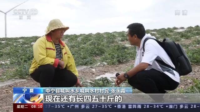 走向我们的小康生活丨瓜果飘香富农家“喊叫水”人不喊水