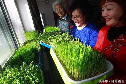 若农民种出这些，城市人你会买吗？