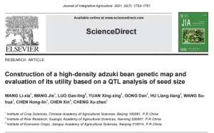 绿小豆种植技术(小豆高密度图谱构建及籽粒大小QTL发掘研究)