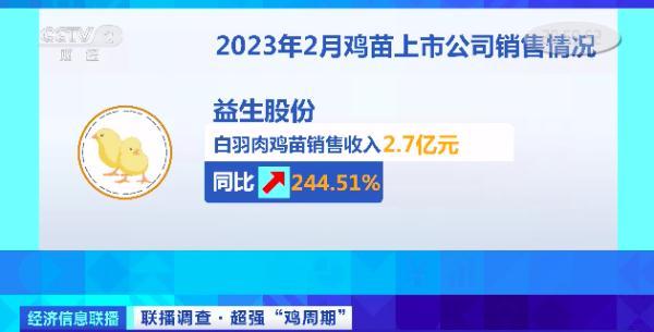 白羽肉鸡苗3个月涨价近3倍！想买提前2个月预订！