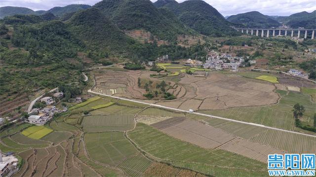 清镇市暗流河村：“订单农业”让韭黄种植产销无忧