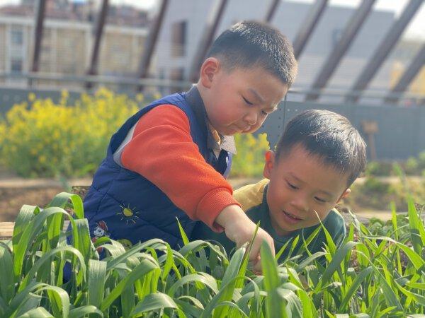 小小幼儿种植园“种”出育人大学问